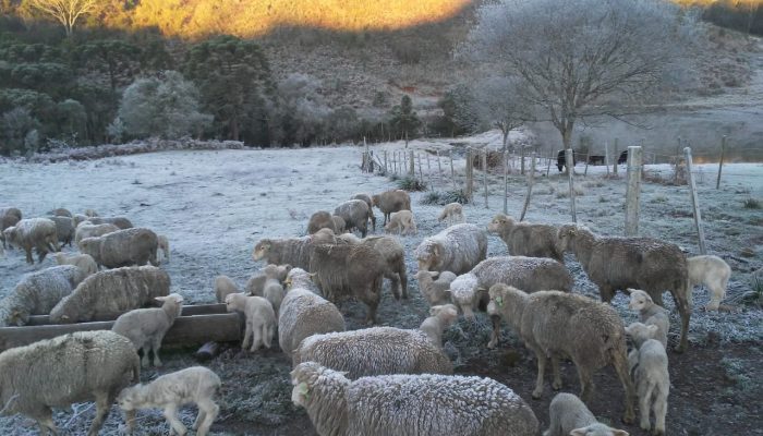 Foto: Ângelo Bertani Giotto