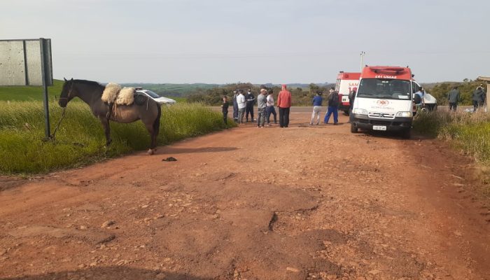 WhatsApp Image 2020-09-01 at 16.39.25