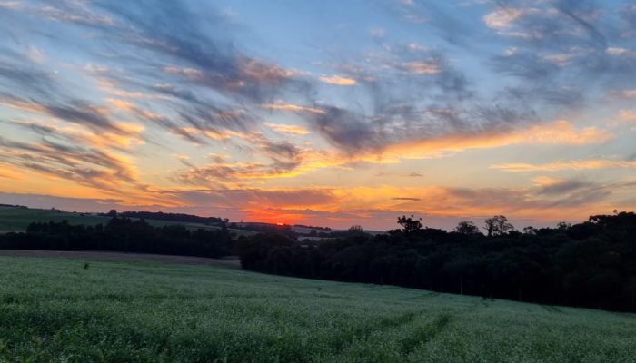 WhatsApp Image 2021-04-20 at 07.45.45