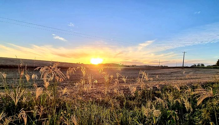 Foto: Rosiana Couto/ClicEspumoso