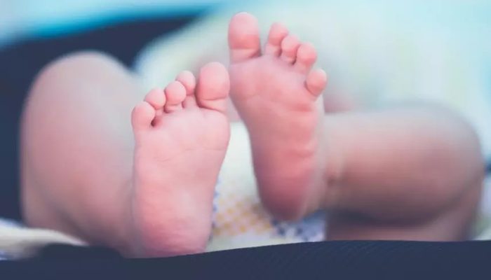 Imagem Ilustrativa | Foto: Pixbay