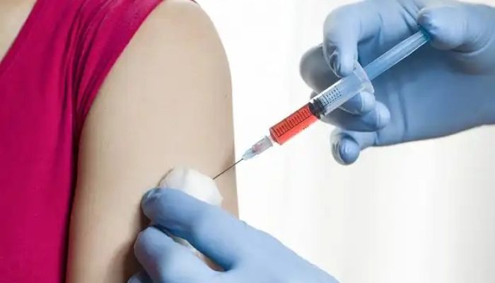 Imagem: Divulgação