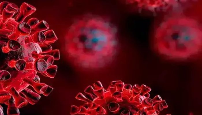 Imagem: Divulgação