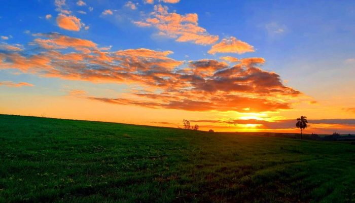 calor, calorão, sol, entardecer, clima