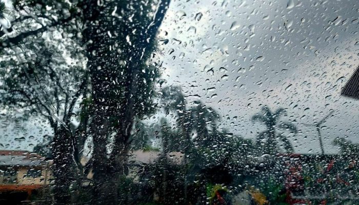 Foto: Rosiana Couto/ ClicEspumoso