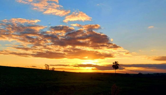 Foto: Rosiana Couto/ ClicEspumoso