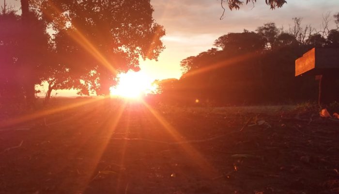 Foto: Juliana Camargo da Silva - São Domingos/Espumoso