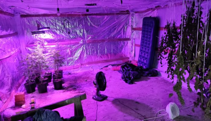 WhatsApp Image 2022-03-21 at 15.02.51