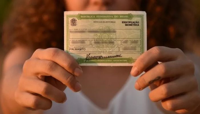 Serviços relacionados ao título de eleitor podem ser feitos pela internet — Foto: TRE/Divulgação
