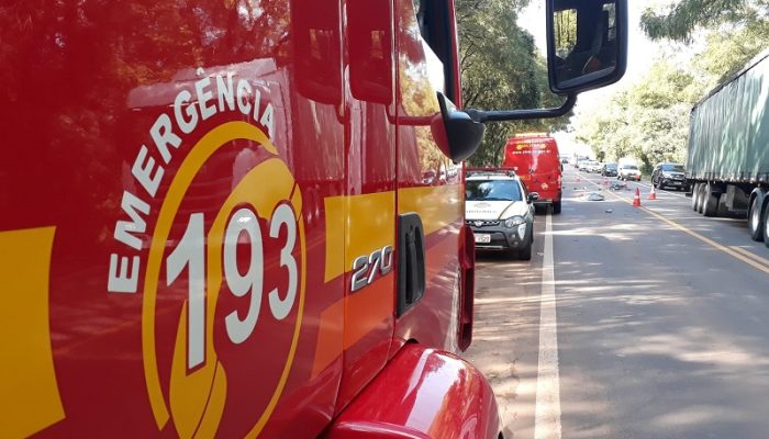 Foto: Mara Steffens | Diário.