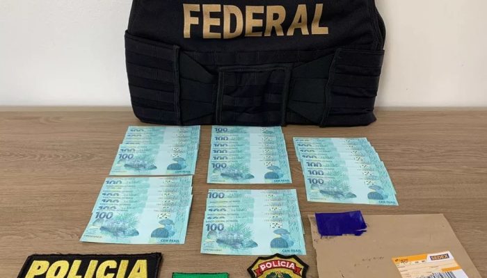 Notas falsas apreendidas em Passo Fundo — Foto: PF/Divulgação