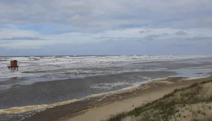 WhatsApp Image 2022-05-17 at 14.57.41 (1)