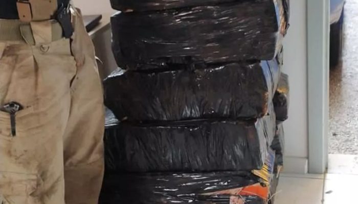 WhatsApp Image 2022-05-19 at 08.51.39