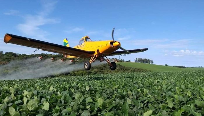 WhatsApp Image 2022-08-22 at 05.13.05