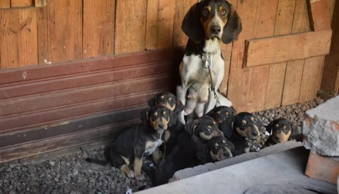 WhatsApp Image 2022-08-25 at 09.08.40