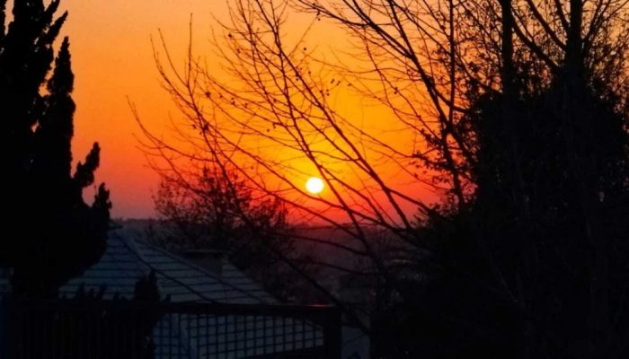 Foto: Nilson Pedro Wolff