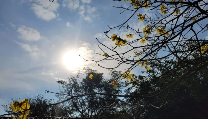 WhatsApp-Image-2022-08-28-at-16.46.03-1