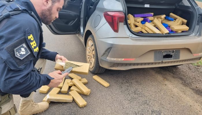 WhatsApp Image 2023-11-16 at 23.30.29