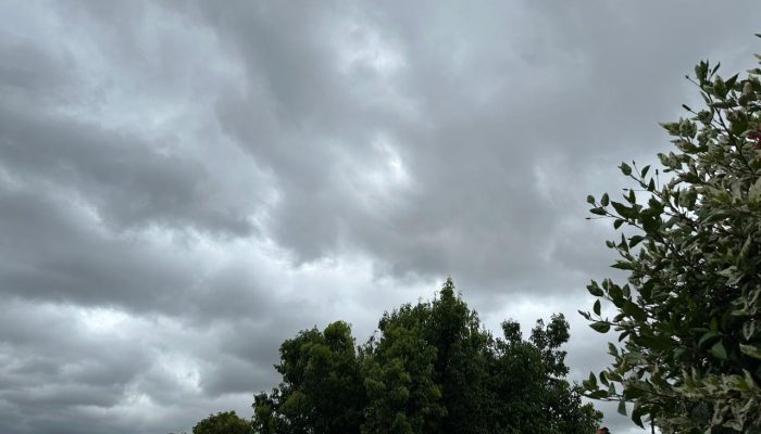 Foto: Guilherme Dias