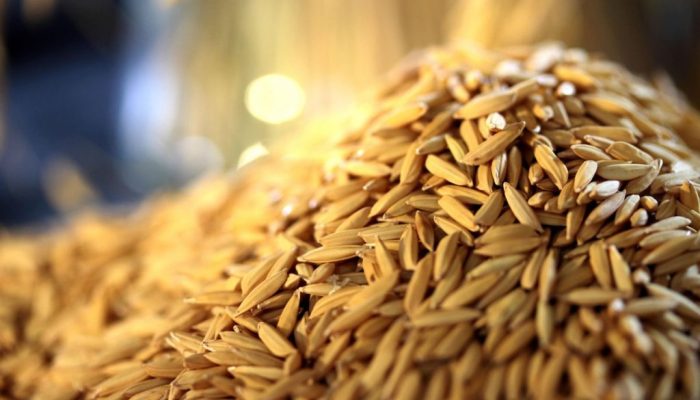 WhatsApp-Image-2024-09-04-at-14.43.58-1024x682