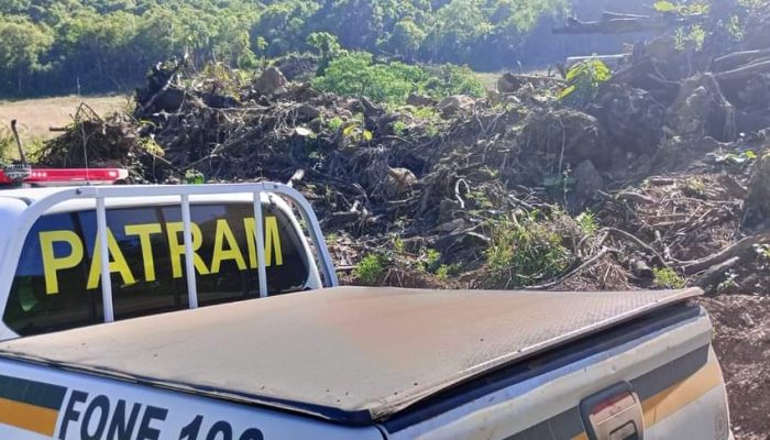 WhatsApp Image 2024-10-30 at 10.41.06 (1)