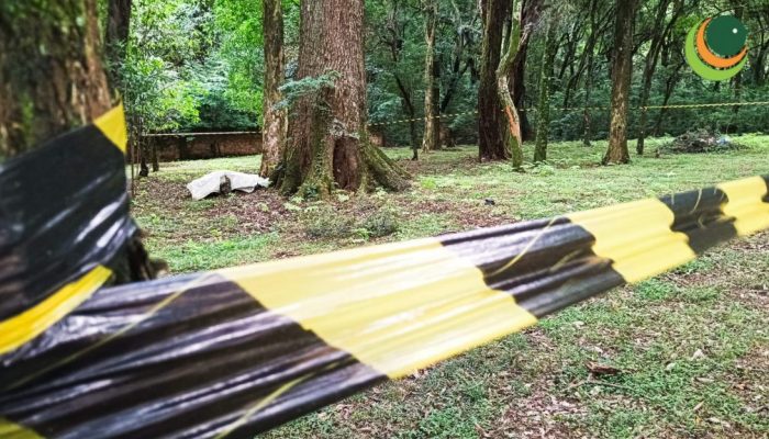 WhatsApp-Image-2024-12-17-at-10.34.18-1024x576