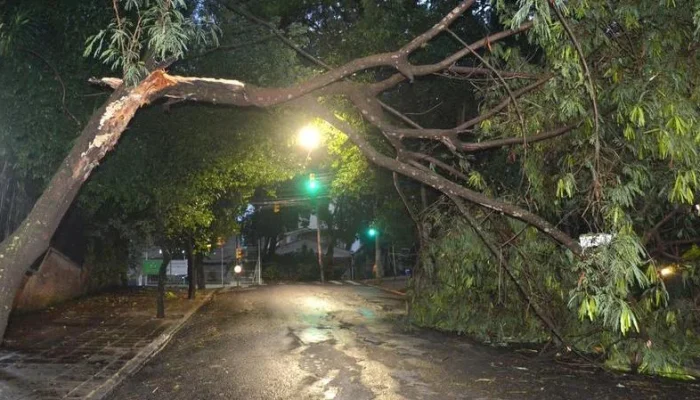 WhatsApp-Image-2025-01-01-at-19-52-08