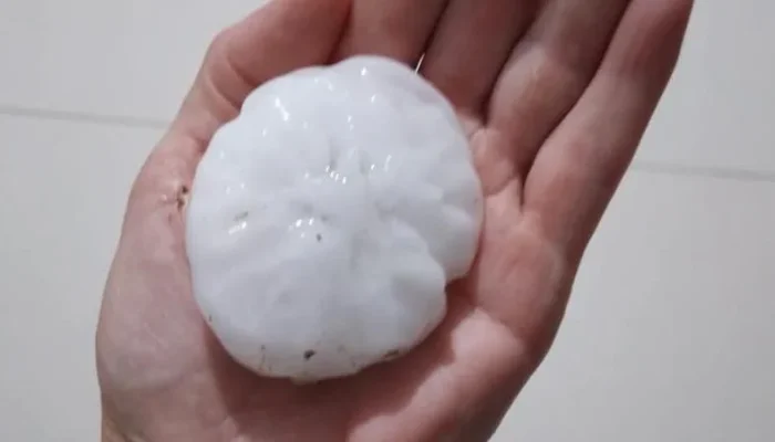 WhatsApp-Image-2025-01-03-at-08-37-32