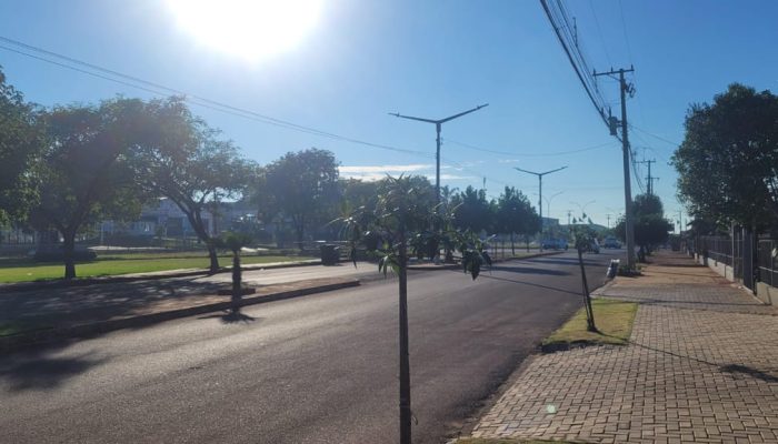 WhatsApp Image 2025-01-29 at 07.41.27