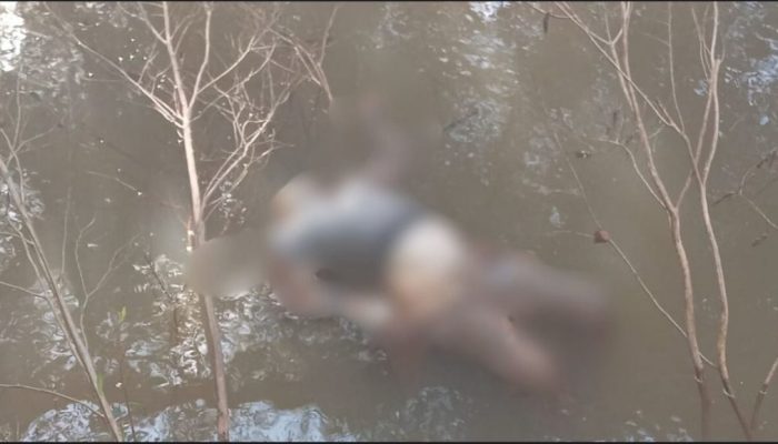 WhatsApp-Image-2025-07-29-at-17.27.46-1024x578