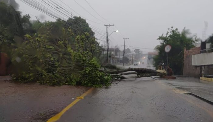 WhatsApp-Image-2025-11-07-at-15.49.55-1-1024x461