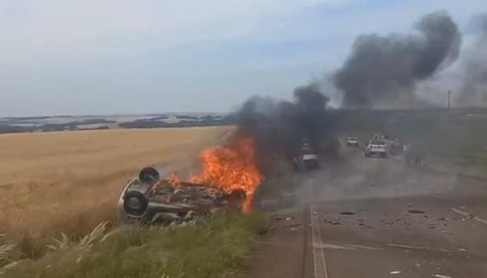 WhatsApp Image 2025-11-12 at 11.30.33