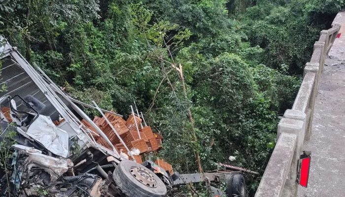 Imagem/Reprodução: Redes Sociais