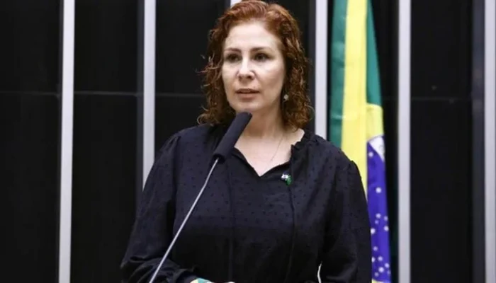 Foto: Vinicius Loures/Câmara dos Deputados