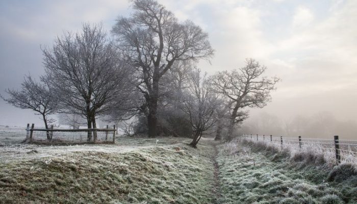 a-mais-intensa-massa-de-ar-polar-ate-o-momento-chega-no-fim-deste-mes-onda-de-frio-345181-2_768