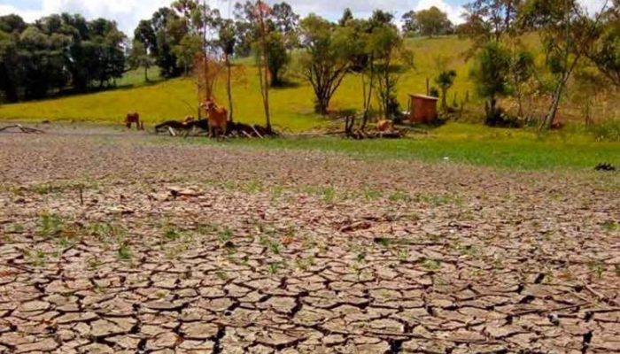 a21c8492e1bf36f2b4b0e88b191a258e