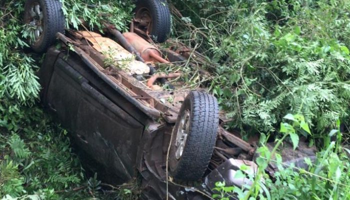 Créditos: Divulgação