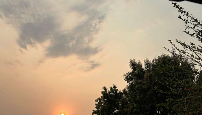 ad2db539-054e-4448-afa2-a1b506947c7b