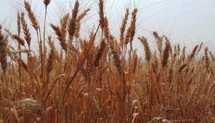 ad3334bde589fcb46c2c206a694714da