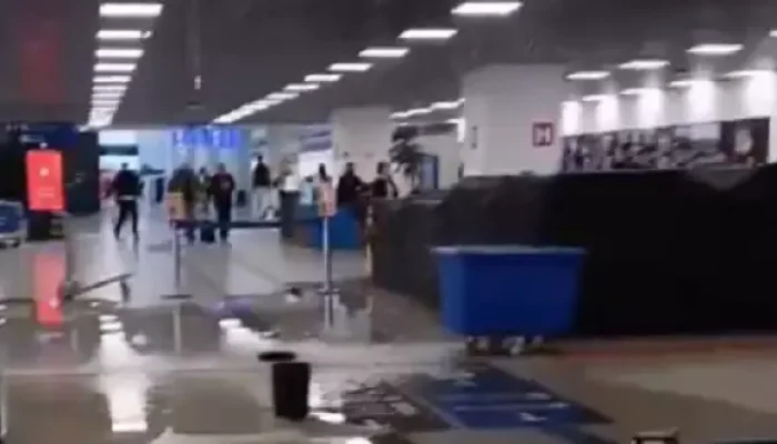 Foto: Reprodução de vídeo
