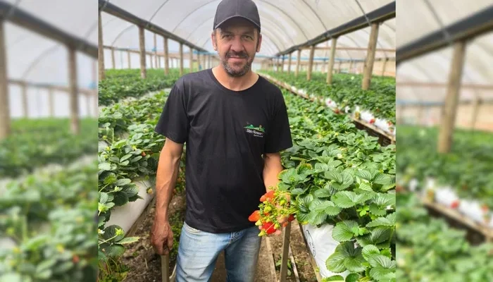 Foto: Divulgação / Arquivo pessoal