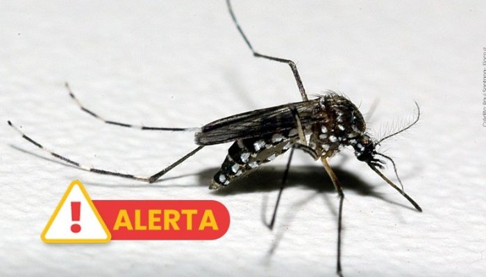 alerta dengue