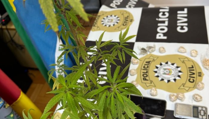 Foto: Divulgação Polícia Civil