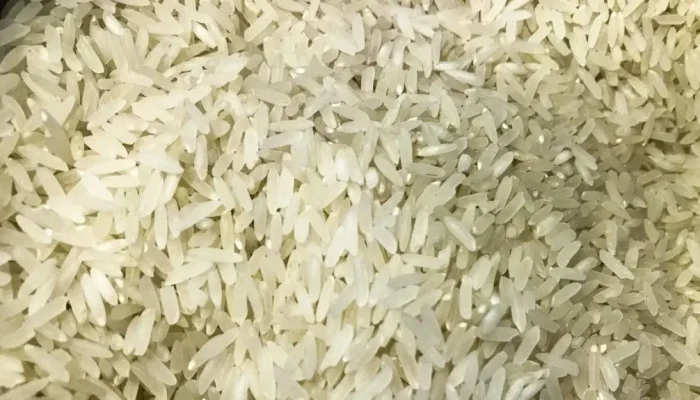 arroz02-1024×575 arroz02-1024x575