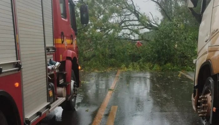 Foto : PRF / Divulgação