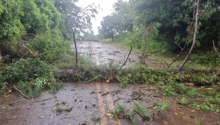 Foto: Divulgação/Redes Sociais