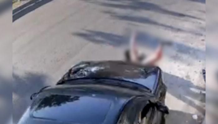 Foto: Reprodução de Vídeo