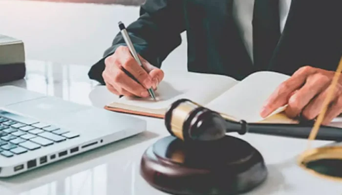 audiencia-virtual-1024x729