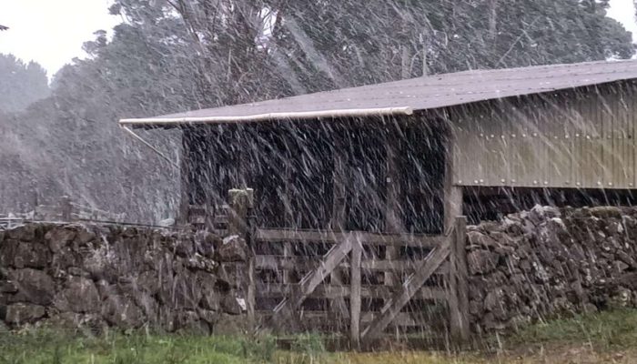 Foto: ALEXANDRE PEREIRA/METSUL