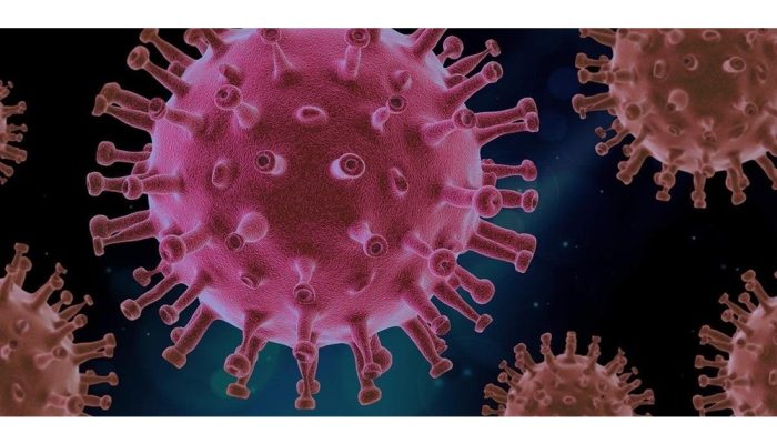 b1db20c0deb7e4110e4a975fe87382b7